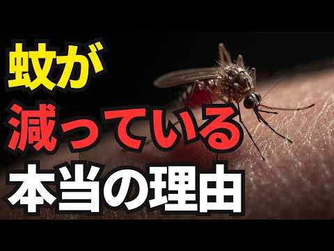 [Shocking Truth?] Mosquitoes in Japan are actually decreasing... A "silent anomaly" is happening ...