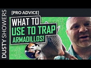 The Safest and Most Effective Armadillo Trap: Top Choice for Trappers