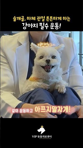 강아지들의 필수 운동! 슬개골 탈구 진행을 막는 하루 5분 ‘기적의 운동’