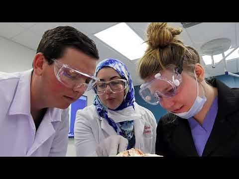 The Medical College of Georgia Virtual Tour for Admissions 2021