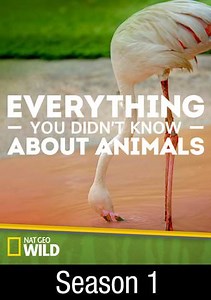 Everything You Didn't Know About Animals: Pigs, Wolves & Crows