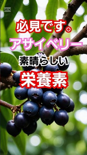 今話題のスーパーフードのアサイベリー効能と食べ方５選 #スーパーフード #アサイベリー #健康食品
