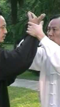 31.Tai Chi Martial Application: Chin Na in Push Hands — "Parting Ways" (分道扬镳)