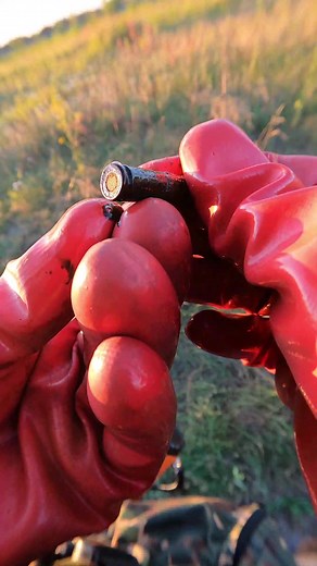 Metal Detecting for Buried Treasures: What Was Found?