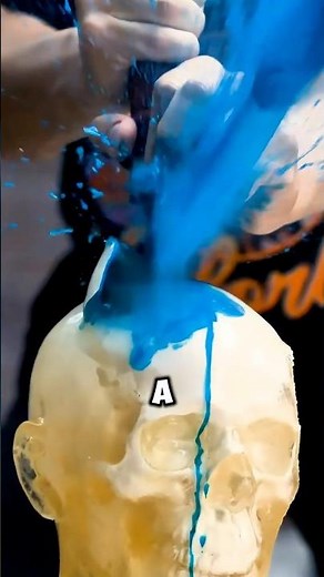 World Deadliest Knife vs Human Skull🤯