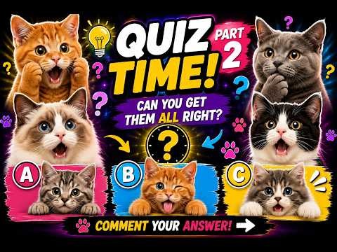 Cat Quiz! Only 1% Get Them All Right 🤯 #quiztime #cats