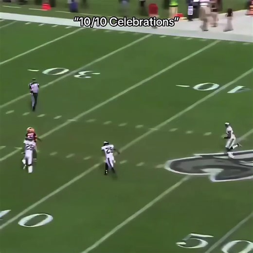 Insane NFL Play Highlights