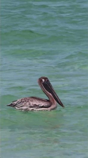 🇺🇸 Miami Beach 4K