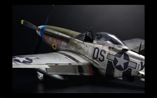 【PLASMO】1比48比例Mustang P-51 D-5野马战斗机模型制作