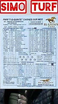 Quinté+ program (R1/C4) at Cagnes-sur-Mer, 08/12/2025