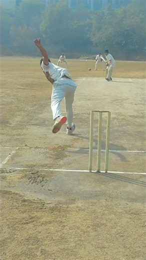 #cricket #cricketshorts #cricketlover absolutely amazing delivery and the celebration is awesome