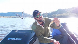 2.2K views · 50 reactions | "I didn't need to see that"  Here's George's reaction after Dan showed him the massive teeth marks left on his plastic. Snippet from our recent Wyangala Trip. Full video available inside the SF Membership. | Social Fishing | Facebook