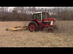 IH 886 - Clipping a Field w/ Flex Wing Rotary Cutter - Bushwacker MD144
