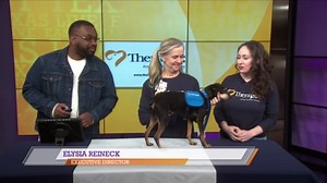 Therapet Animal Assisted Therapy