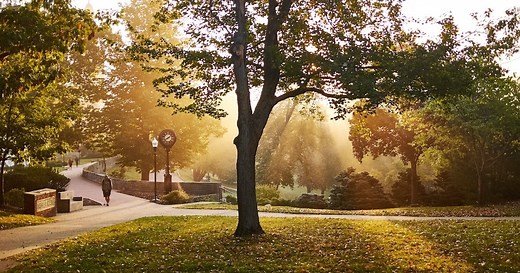 Academics - Majors & Programs | Denison University