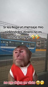 Si les llega un mensaje mío pidiendo dinero: ¿es estafa o soy yo?