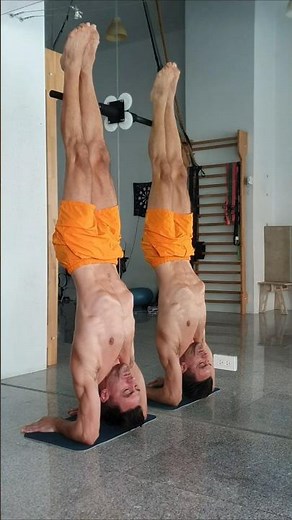 How to Pincha Mayurasana #pinchamayurasana #yoga #yogapose #inversion #yogi #balance #calisthenics