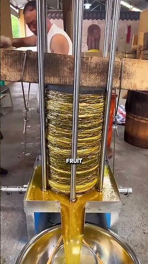 How Olive Oil Is Really Made 🫒 #peteplayen