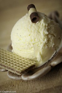 No Churn Vanilla Bean Ice Cream - No fancy maker required!