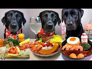 Epic Dog Food Taste Test | Black Labradors Try Seafood, Fruits, Veggies & Treats