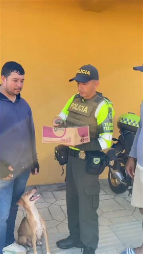 La historia de Rebeca suma un capítulo de esperanza. Luna y Toby, dos de los siete cachorros que nacieron bajo la lluvia y fueron rescatados por uniformados de la Seccional de @TransitoPolicia en #Bolívar, ya fueron adoptados por una familia que les abrió las puertas de su hogar.