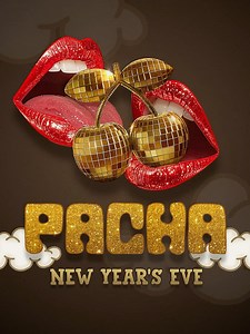 Pacha on Reels
