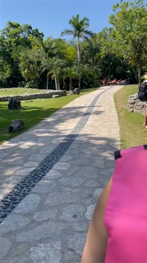 Flamingo Lovers on Reels