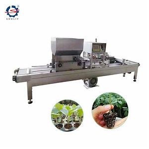 [Hot Item] Automatic Nursery Seedling Planting Seed Sowing Machine