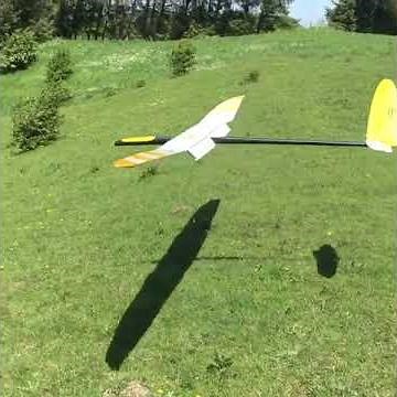 RC glider thermal slope soaring flight #DLG
