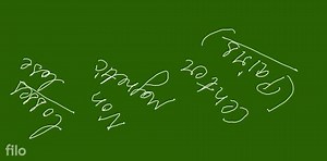 The two ends of a chromatid are called:–... | Filo