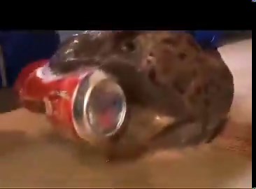 Best ad for @CocaCola ever 😉😂