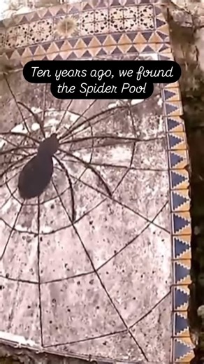 Spike Marble • Photographer on Instagram: "10 years ago, we located the hidden and infamous Hollywood Spider Pool. YouTube video link in stories. It’s worth a watch. 😏🕷️"