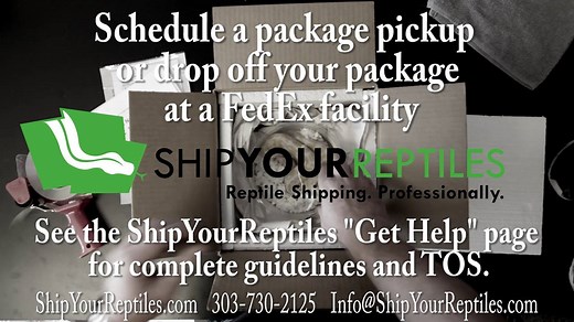 How-To Ship Your Reptiles! Short and concise! | Ship Your Reptiles