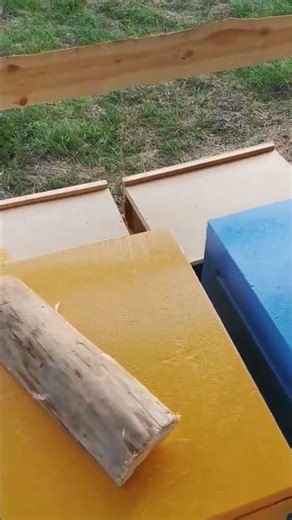 11 families of «Middle Russian bees» were delivered.