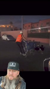 Shopping cart dog sled #amazing #awesome #themoreyouknow #crazy #crazystory #hilarious | Apex Predator Outfitters