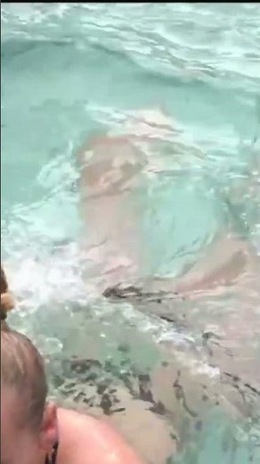 ICE HOLE BATHING #910 / SWIMMING WINTER 2025