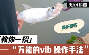万能的vib 操作手法，教你一招，简单还容易暴扣翘嘴