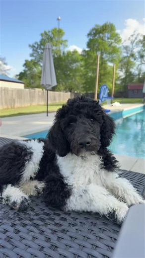 Jennifer Fields (@jennifer.fields)’s videos with original sound - Jennifer Fields