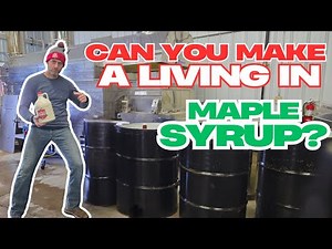Can you make a living in Maple Syrup?