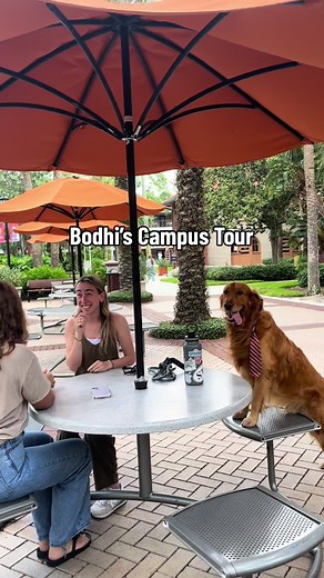 Flagler College Campus Tour with Bodie the Office Dog