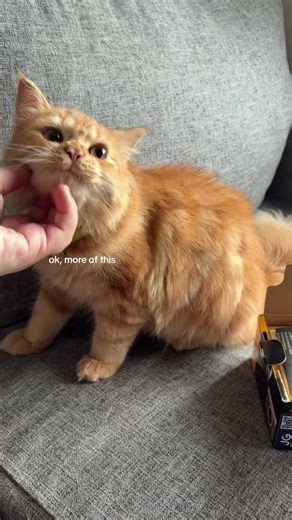 Kodak C1 unboxing and review soon!