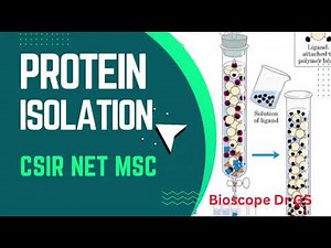 Protein Isolation Technique | Methods of Protein Purification Explained | CSIR NET