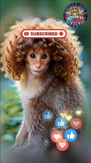 Monkey’s Hair Turns Curly 😂🐵 Funniest Hair Transformation Ever! #viralshorts #viralvideo #shorts