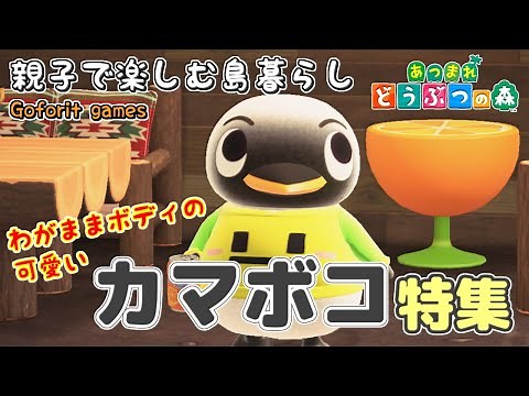 【あつまれどうぶつの森】カマボコ【住民・特集】親子で楽しむ島暮らし