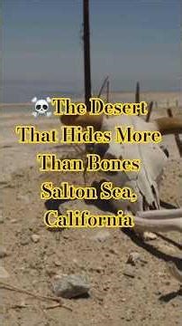 ☠️The Desert That Hides More Than Bones Salton Sea, California #learnonyoutube #exploratorium