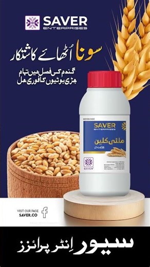 Say Goodbye to Wheat Weeds — Multi-Clean Makes Weed Control Faster & Easier