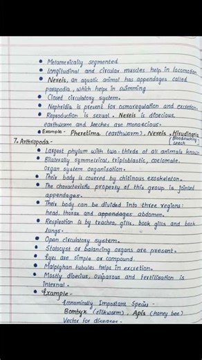 class 11th zoology animal Kingdom short notes
