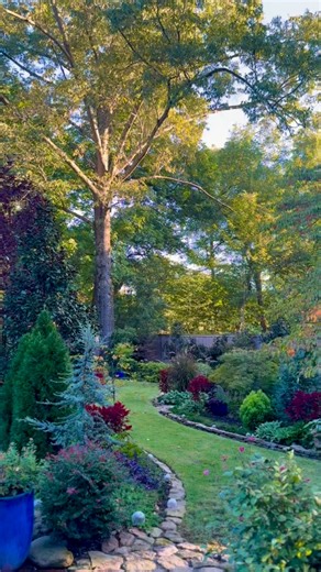 Good Morning Gardeners! Your daily dose of peace and beauty. Walk with me. #morningwalk #morningmood #peaceful #calming #foliage #autumngarden #autumnvibes🍁 #autumncolours #mygarden #gardening #gardener #inmygarden #gardenlove #gardenlife #inthegarden #mygardentoday #bench | Thepsychgarden