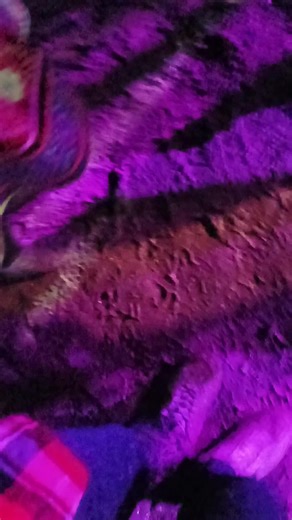 Así se baila en Carnavalito: ¡Descúbrelo!