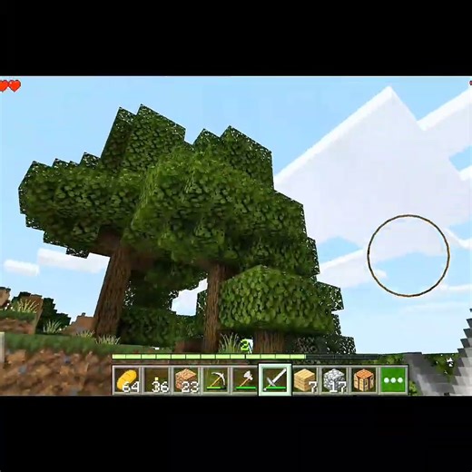 Minecraft sport 😎💪